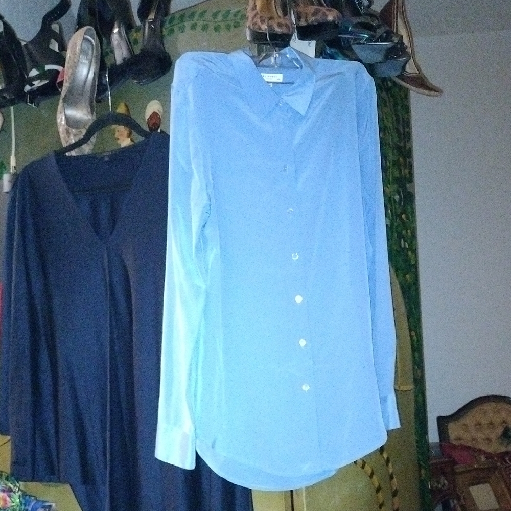 Equipment Femme Sky Blue Button Down Shirt